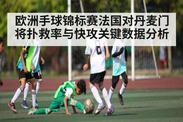 欧洲手球锦标赛法国对丹麦门将扑救率与快攻关键数据分析